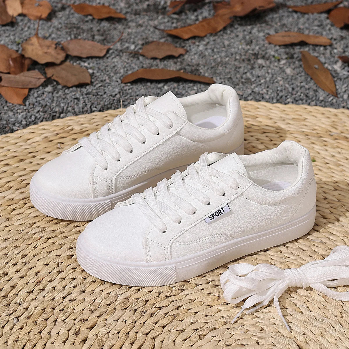The Paddington College Board Trainers