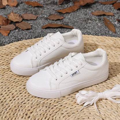 The Paddington College Board Trainers