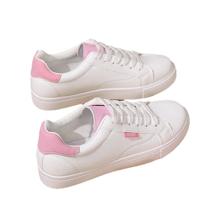 The Paddington College Board Trainers